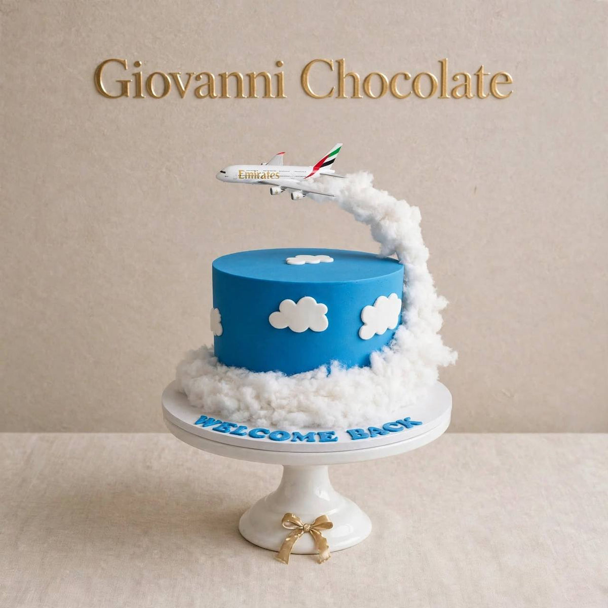 3D airplane and clouds welcome-back cake | GC-70