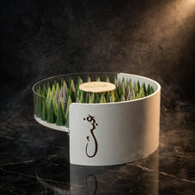 ستاند كون شوكولاتة – تصميم إضافي | Chocolate Cone Stand – Design 2