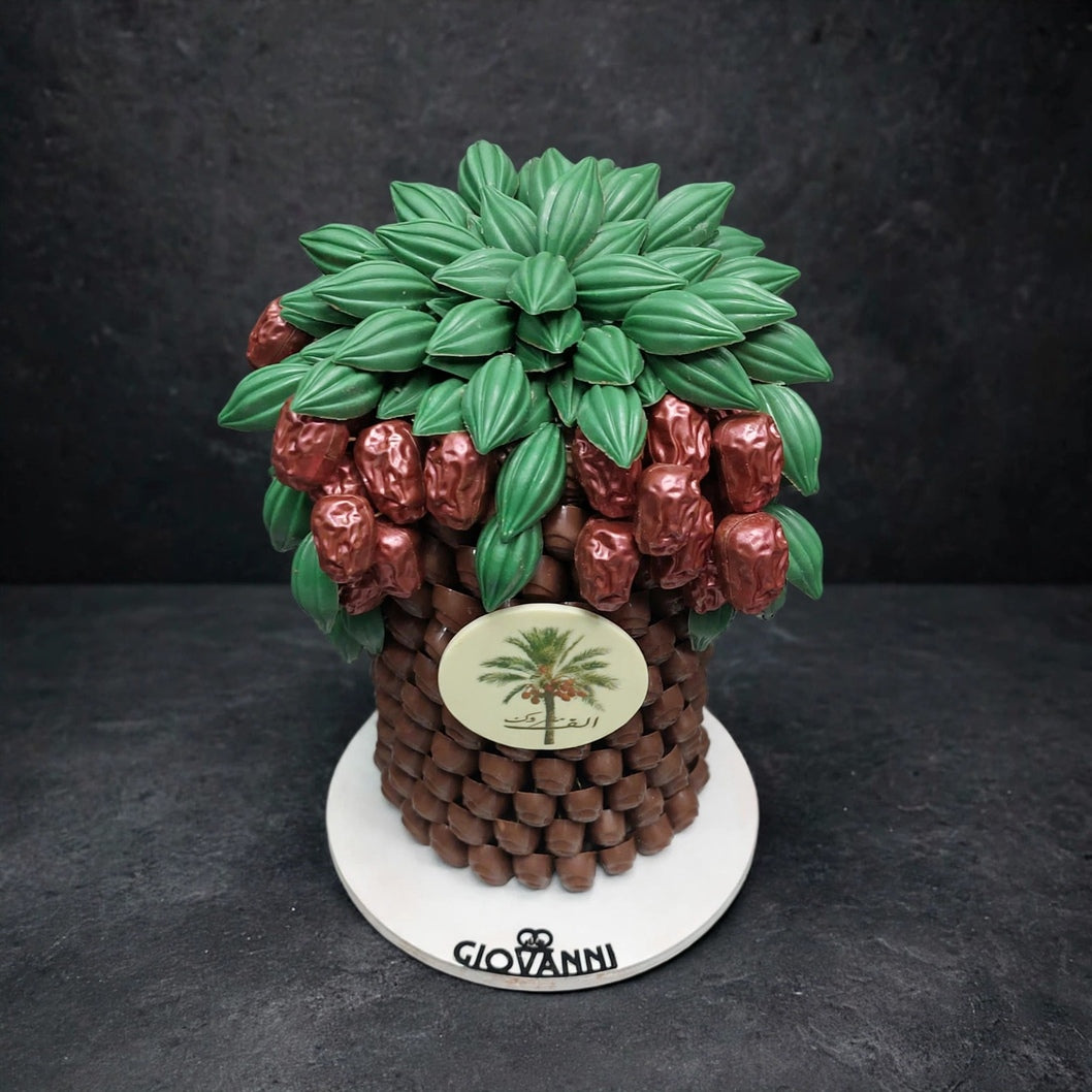 نخلة شوكولاتة | Chocolate Palm Tree