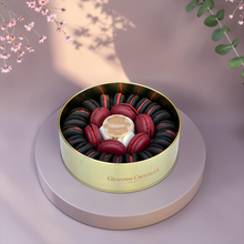 Premium French Macaron Metal Box | E44